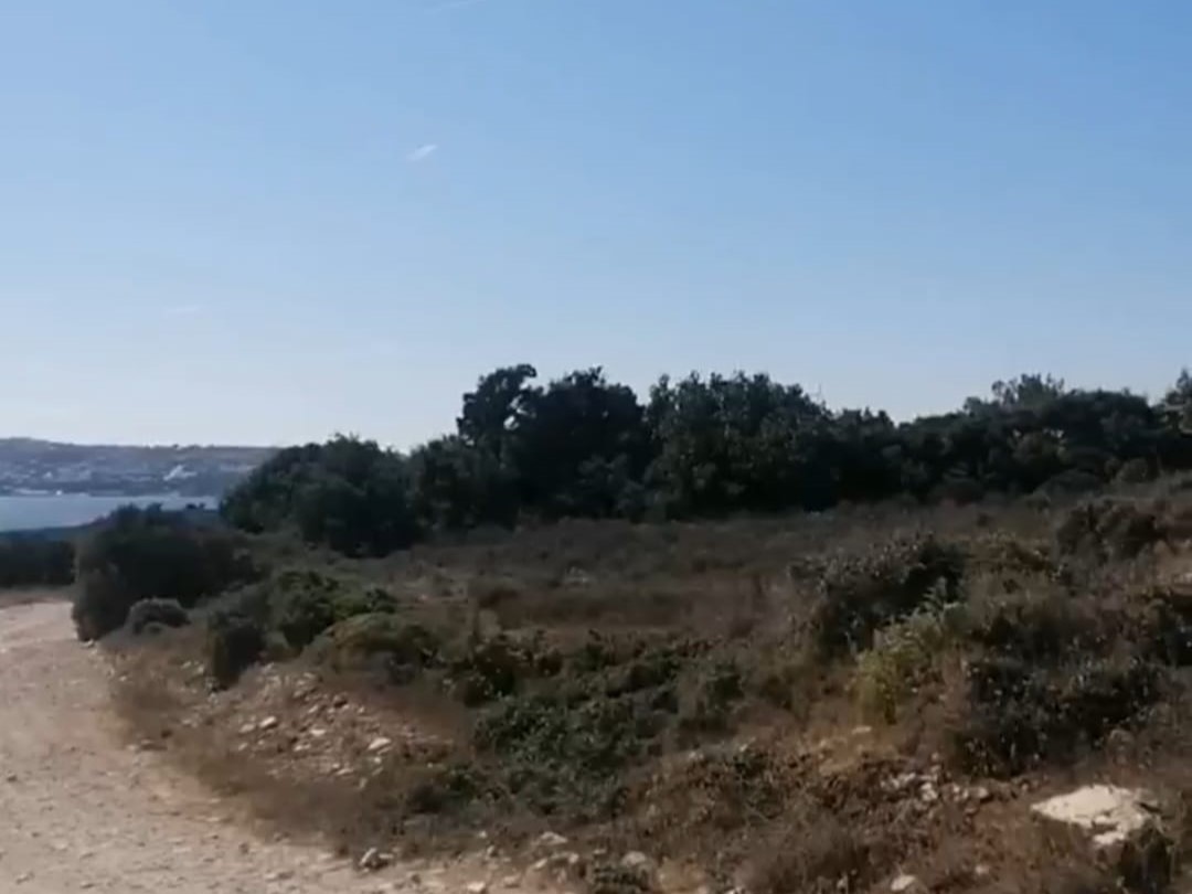 Çınar Gayrimenkul
